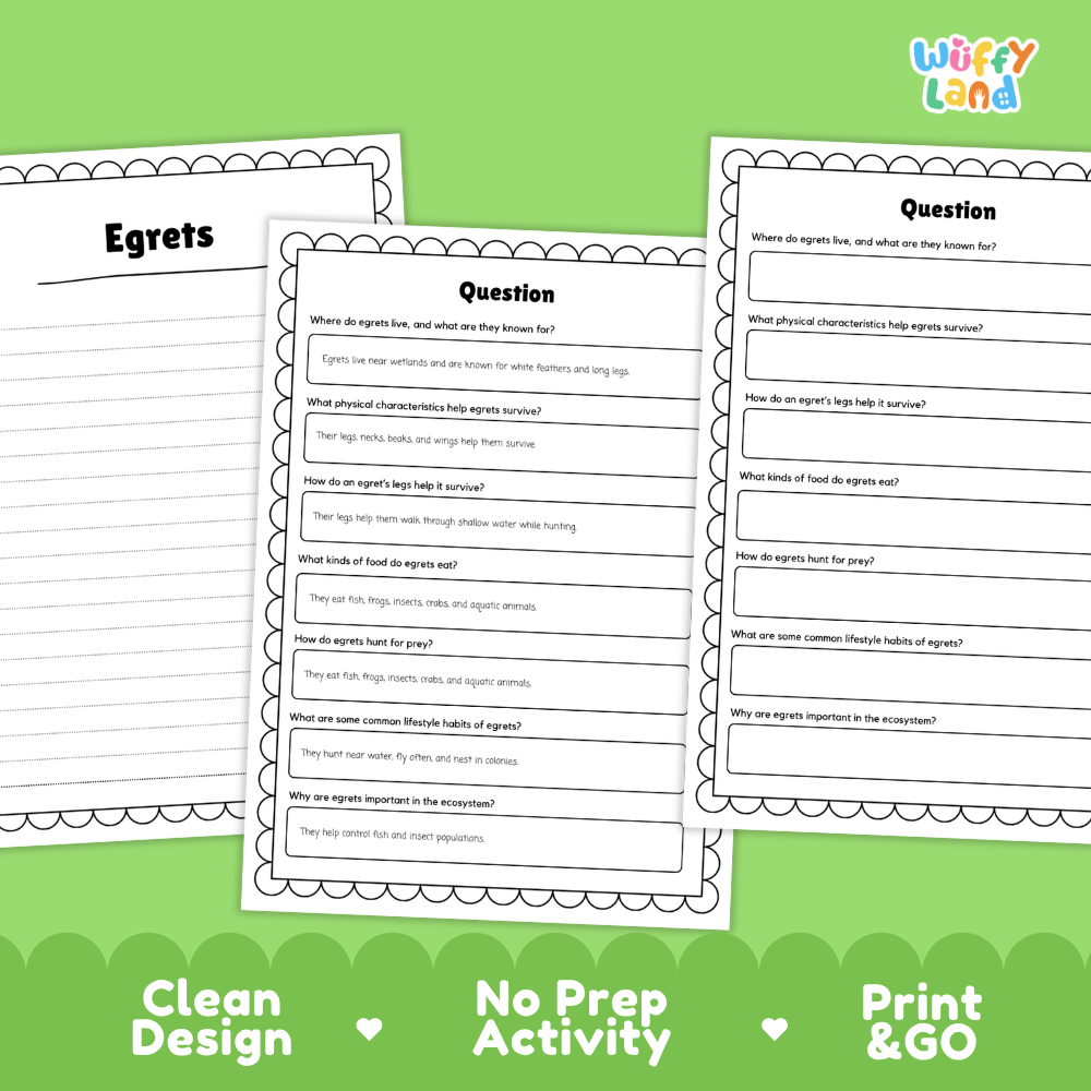 Egret Reading Passage and Comprehension Questions Worksheets
