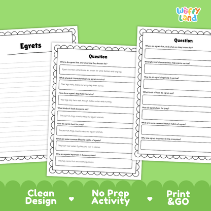 Egret Reading Passage and Comprehension Questions Worksheets