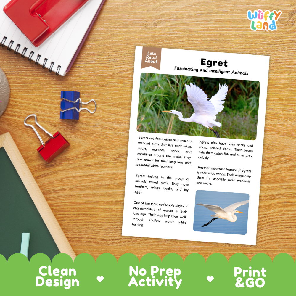 Egret Reading Passage and Comprehension Questions Worksheets