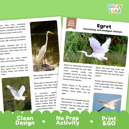 Egret Reading Passage and Comprehension Questions Worksheets