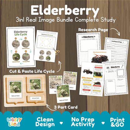 Complete Elderberry 3-in-1 real image study bundle featuring cut and paste worksheets, Montessori 3-part cards, and research pages 🫐🌱
