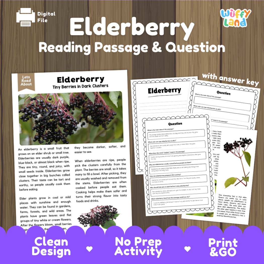 Elderberry reading comprehension passage and questions printable activity pack with answer key for elementary students