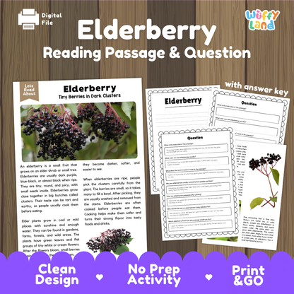 Elderberry reading comprehension passage and questions printable activity pack with answer key for elementary students