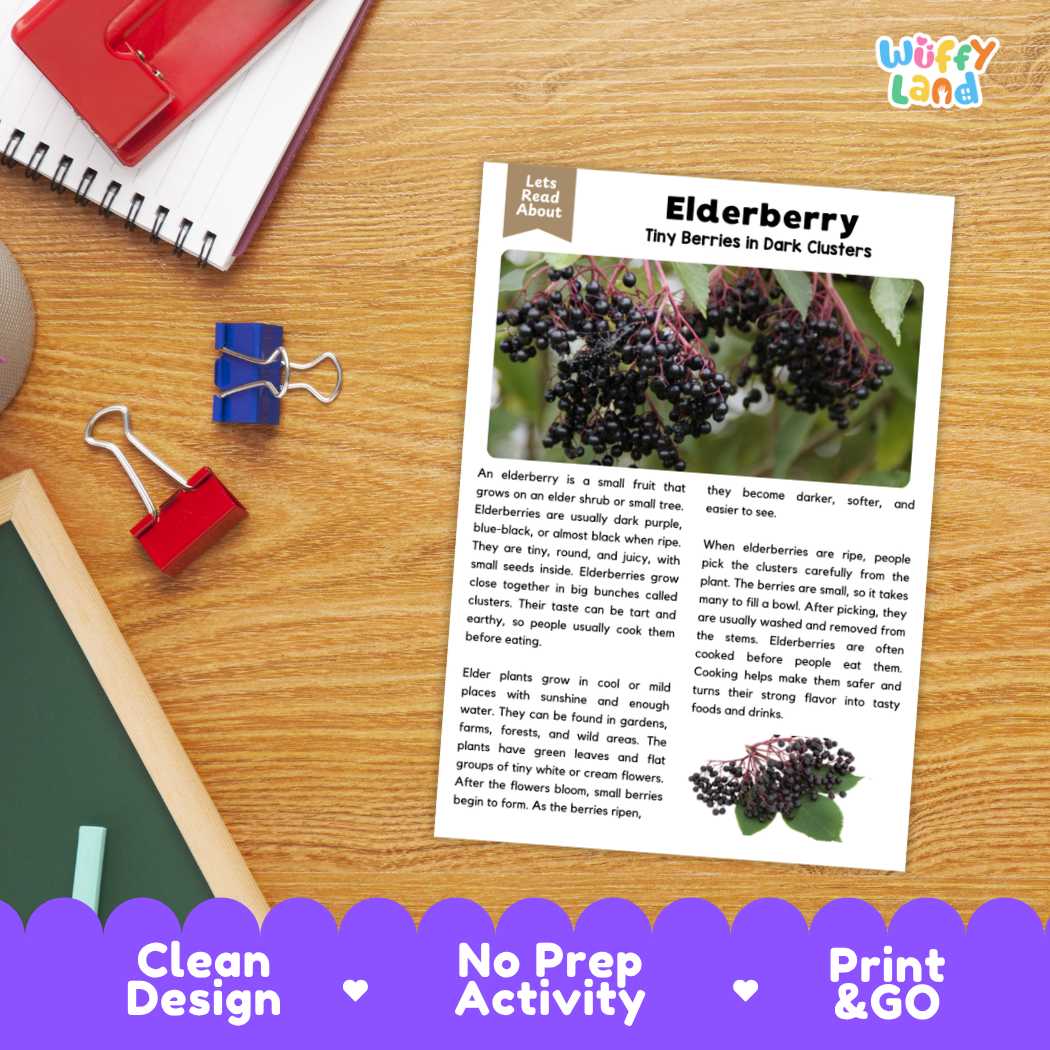 Student reading comprehension worksheet with short-answer questions and lined sections about elderberries