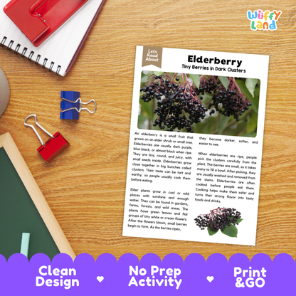 Student reading comprehension worksheet with short-answer questions and lined sections about elderberries