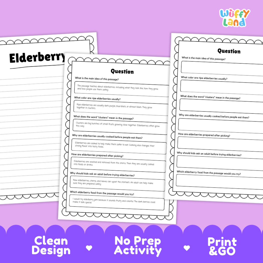 Informational reading passage page detailing elderberry fruit elder shrubs flower blossoms harvesting and cooking safety with photos