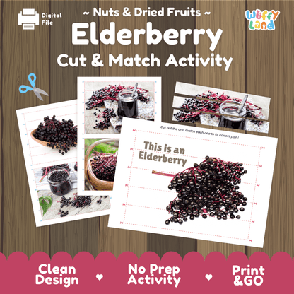 Elderberry Cut and Match Activity Worksheets | Nuts and Dried Fruits Puzzle Printables