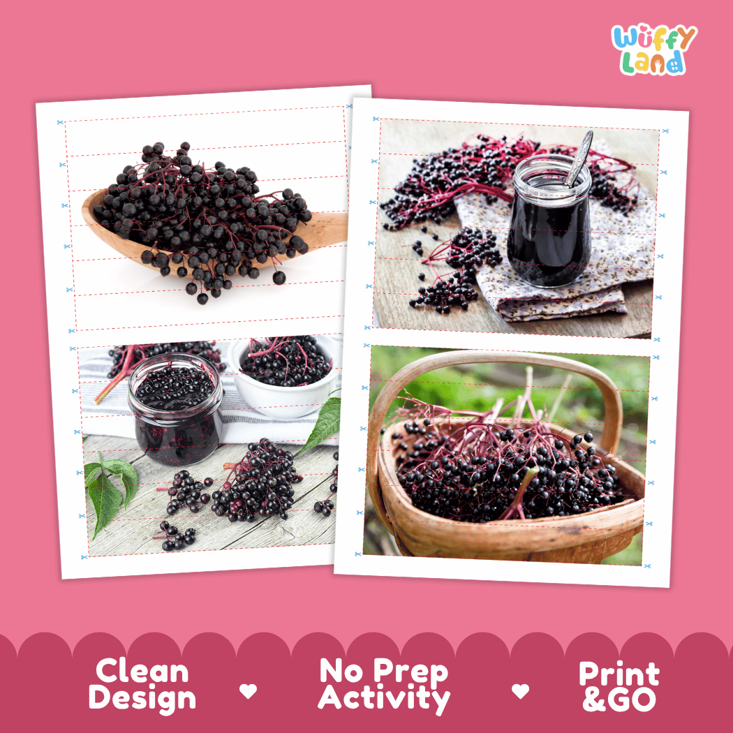 Elderberry Cut and Match Activity Worksheets | Nuts and Dried Fruits Puzzle Printables