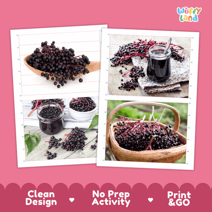 Elderberry Cut and Match Activity Worksheets | Nuts and Dried Fruits Puzzle Printables