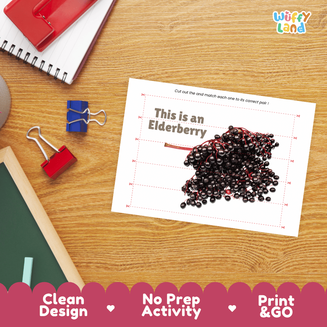 Elderberry Cut and Match Activity Worksheets | Nuts and Dried Fruits Puzzle Printables