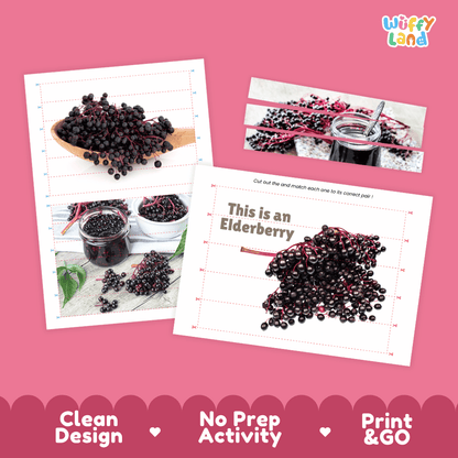 Elderberry Cut and Match Activity Worksheets | Nuts and Dried Fruits Puzzle Printables