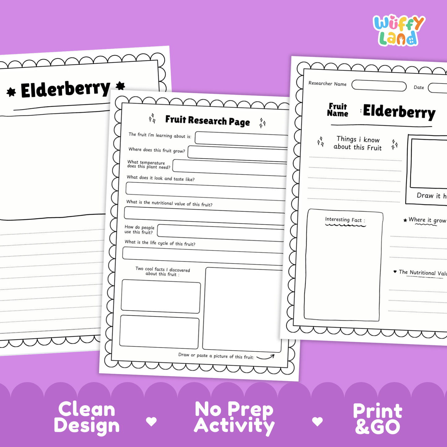 Elderberry Fruit Research Page Worksheet Activity | Science Healthy Eating
