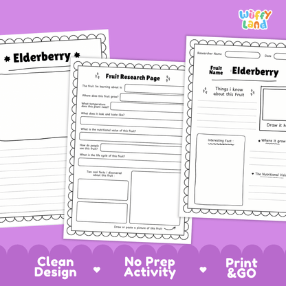 Elderberry Fruit Research Page Worksheet Activity | Science Healthy Eating