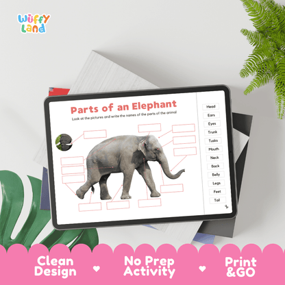 Educational cut and paste elephant anatomy worksheet with printable word cutout tiles for trunk, tusks, ears, and tail