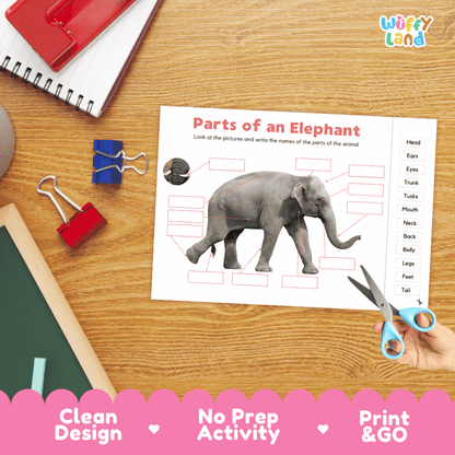 Printable animal body parts worksheet showing a realistic elephant with blank labeling boxes and a vocabulary word bank for writing practice