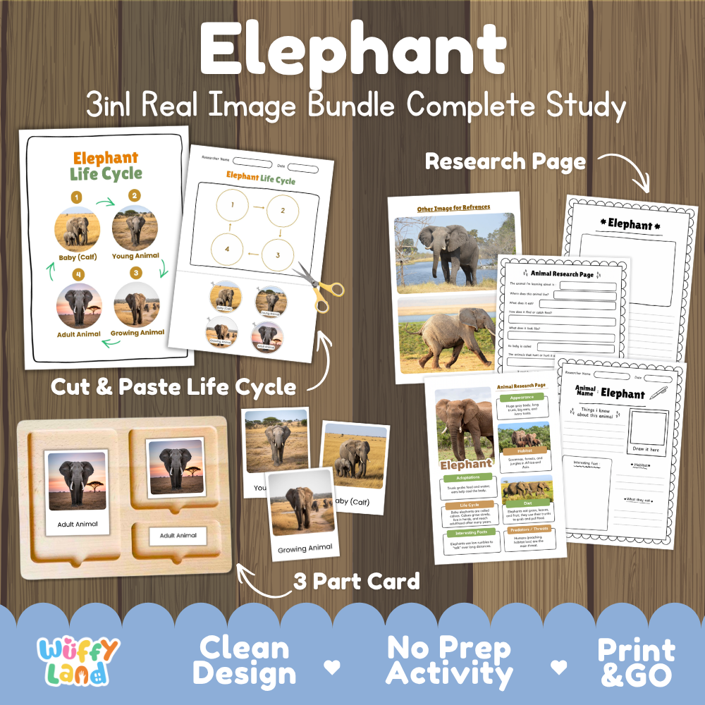 Elephant 3-in-1 real image bundle complete study cover showing cut and paste life cycle, 3 part cards, and research pages