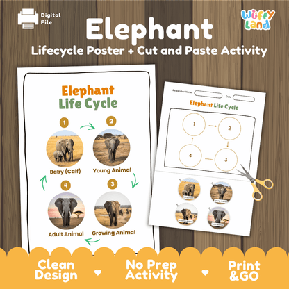 Elephant Lifecycle Poster and Cut and Paste Activity Worksheets | Animal Science Printables