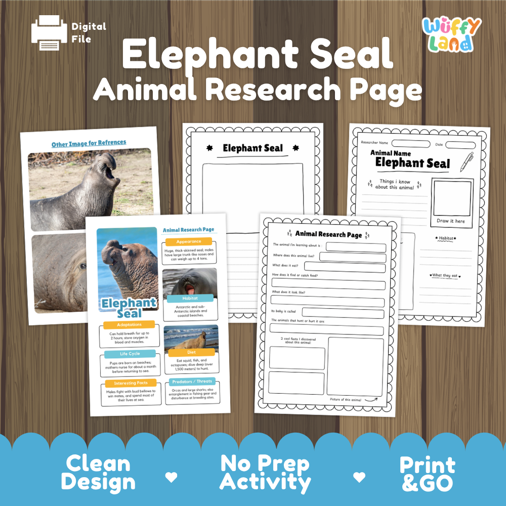Elephant Seal Animal Research Page activity sheet set by Wiffy Land, shown as a digital download on a wood-grain background. The image displays several printable worksheet pages with text fields, images of an elephant seal, and informational boxes, along with marketing text at the bottom.