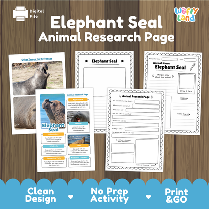 Elephant Seal Animal Research Page activity sheet set by Wiffy Land, shown as a digital download on a wood-grain background. The image displays several printable worksheet pages with text fields, images of an elephant seal, and informational boxes, along with marketing text at the bottom.