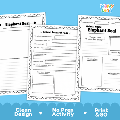 Elephant Seal Animal Research Page Worksheets