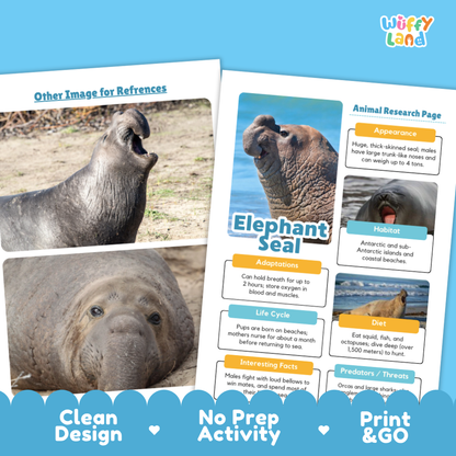 Educational activity sheet about elephant seals from 'Wiffy Land', featuring animal research pages with images of elephant seals, set against a light blue background with promotional text at the bottom.