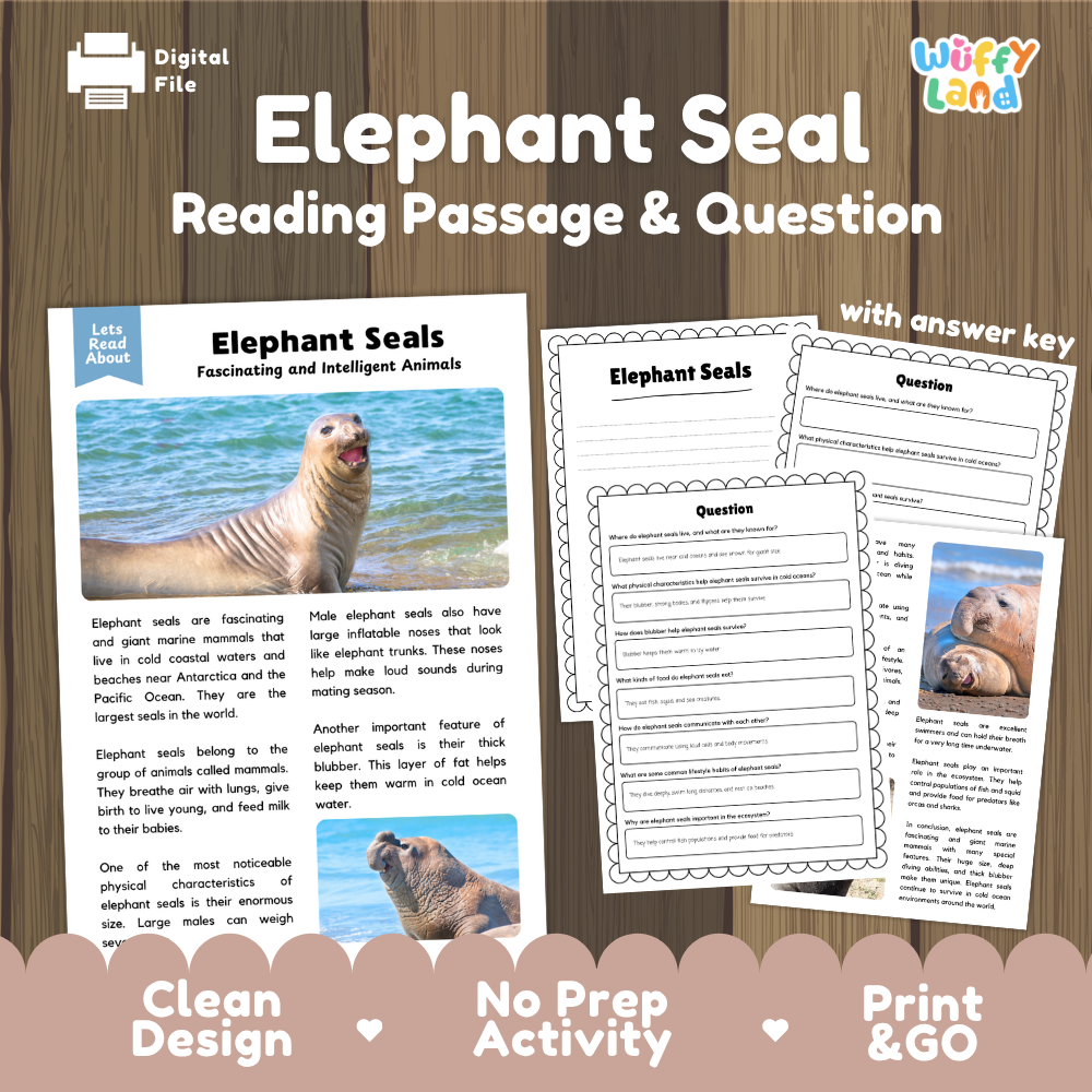 Elephant Seal Reading Passage and Comprehension Questions with Answer Key Worksheets