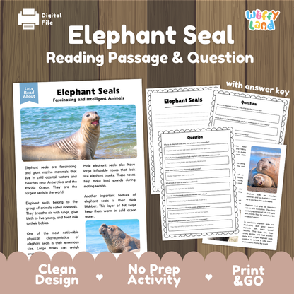 Elephant Seal Reading Passage and Comprehension Questions with Answer Key Worksheets