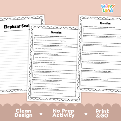 Elephant Seal Reading Passage and Comprehension Questions with Answer Key Worksheets