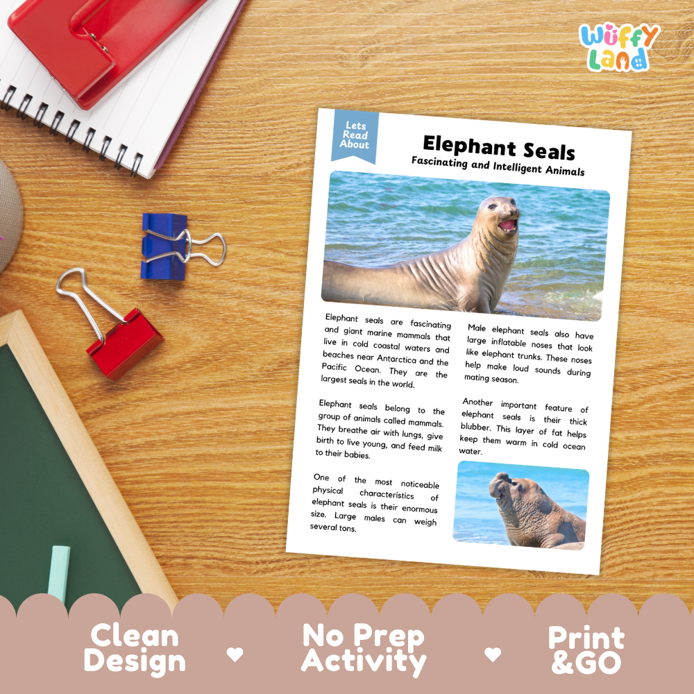 Elephant Seal Reading Passage and Comprehension Questions with Answer Key Worksheets