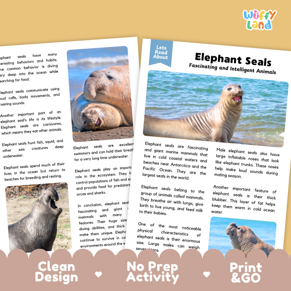 Elephant Seal Reading Passage and Comprehension Questions with Answer Key Worksheets