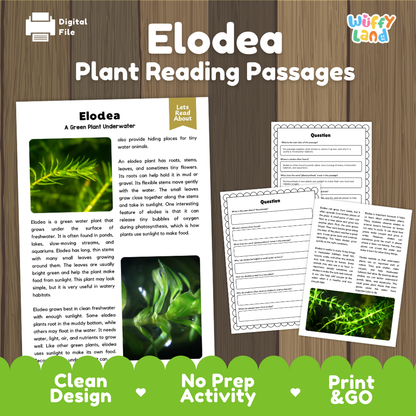 Elodea Plant Reading Passages Worksheets and Comprehension Activity
