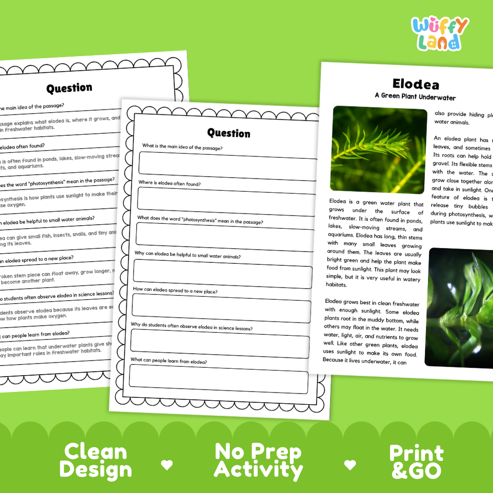 Elodea Plant Reading Passages Worksheets and Comprehension Activity