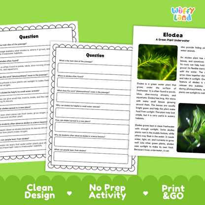 Elodea Plant Reading Passages Worksheets and Comprehension Activity