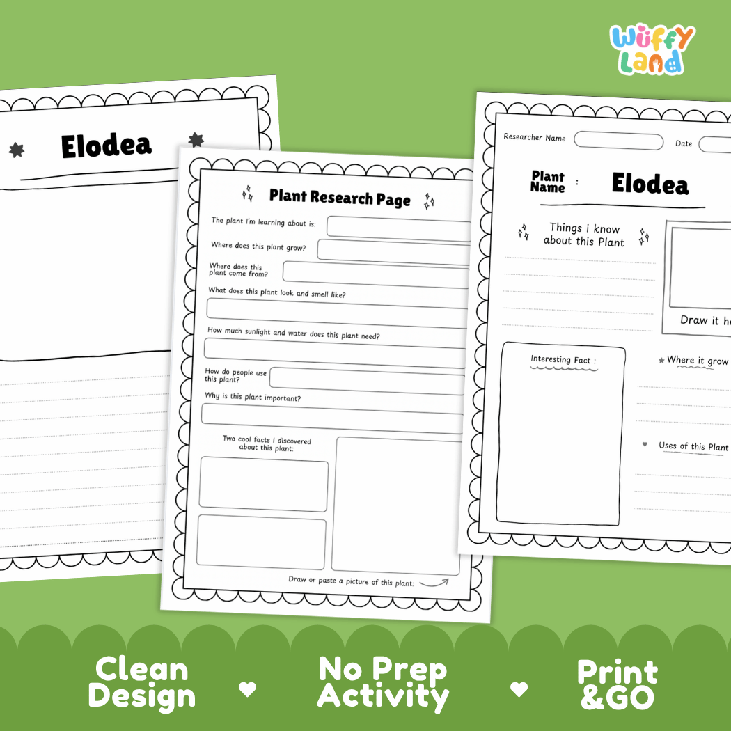 Three printable worksheet pages for Elodea plant research are shown on a green background with marketing text reading 'Clean Design', 'No Prep Activity', and 'Print & GO'. The pages are black-and-white activity sheets with fields for plant name, researcher name, observations, and a drawing area.