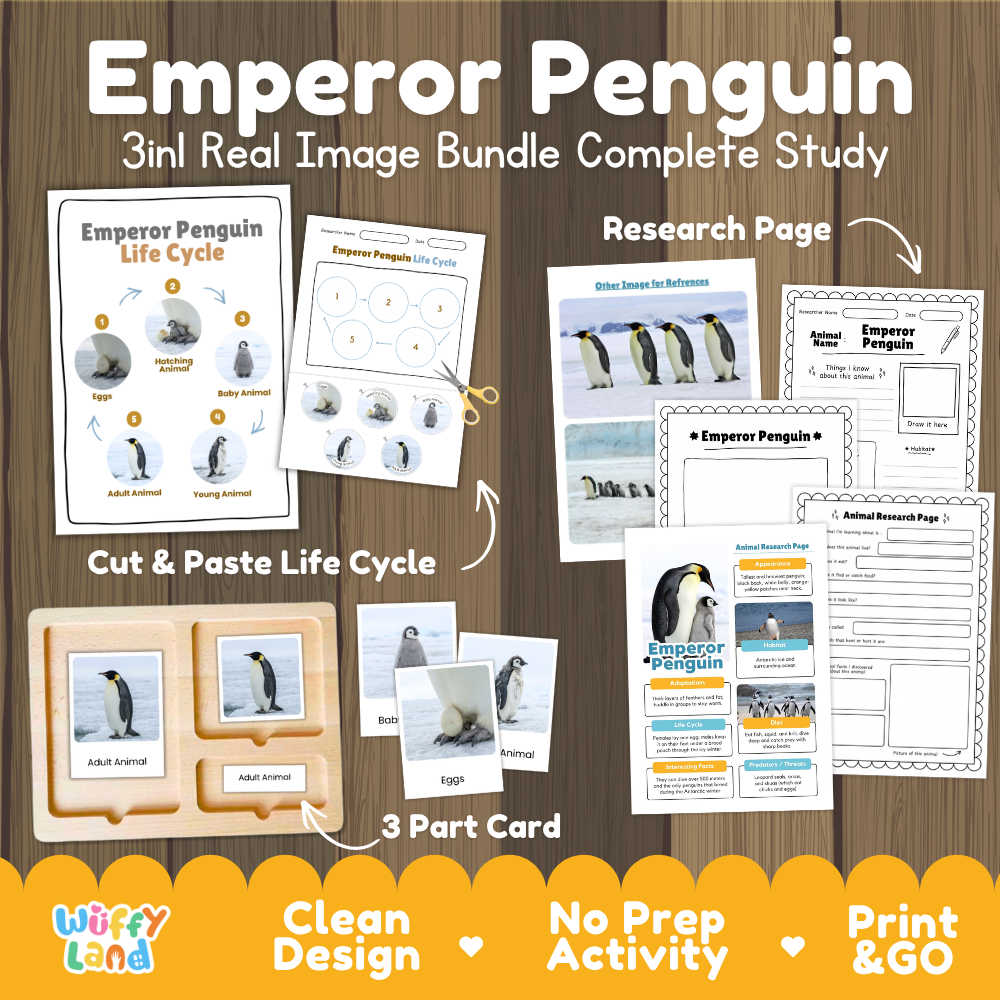 Emperor Penguin 3-in-1 real image bundle complete study cover showing cut and paste life cycle, 3 part cards, and research pages