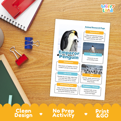 An educational printout titled 'Emperor Penguin' with sections for animal research, adaptations, life cycle, diet, and interesting facts, displayed on a wooden desk with binder clips and notebooks. The brand 'Wiffly Land' is visible in the top right corner.