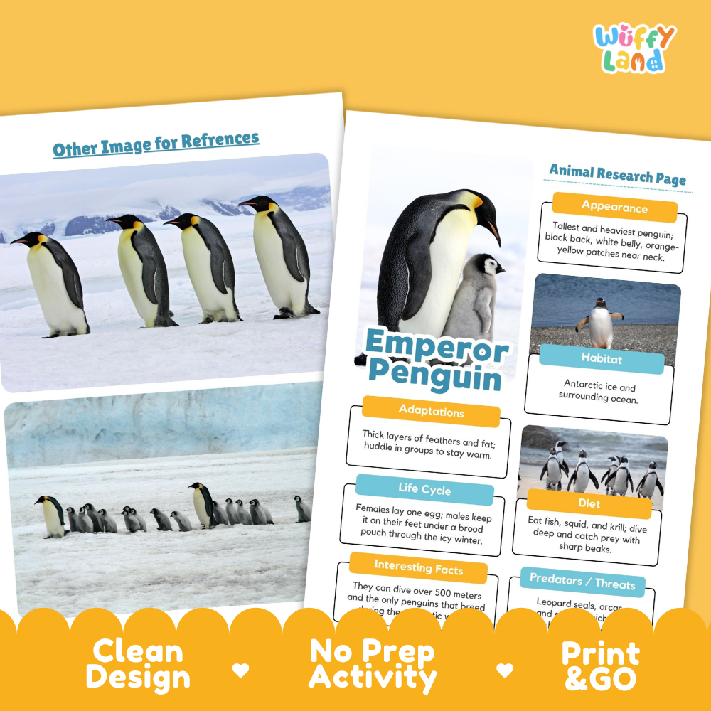 Two printed activity sheets for a penguin research activity displayed on an orange background. The left sheet shows reference images of emperor penguins, and the right sheet shows an animal research page about the emperor penguin with labels for appearance, habitat, adaptations, life cycle, diet, and interesting facts.