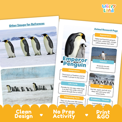 Two printed activity sheets for a penguin research activity displayed on an orange background. The left sheet shows reference images of emperor penguins, and the right sheet shows an animal research page about the emperor penguin with labels for appearance, habitat, adaptations, life cycle, diet, and interesting facts.