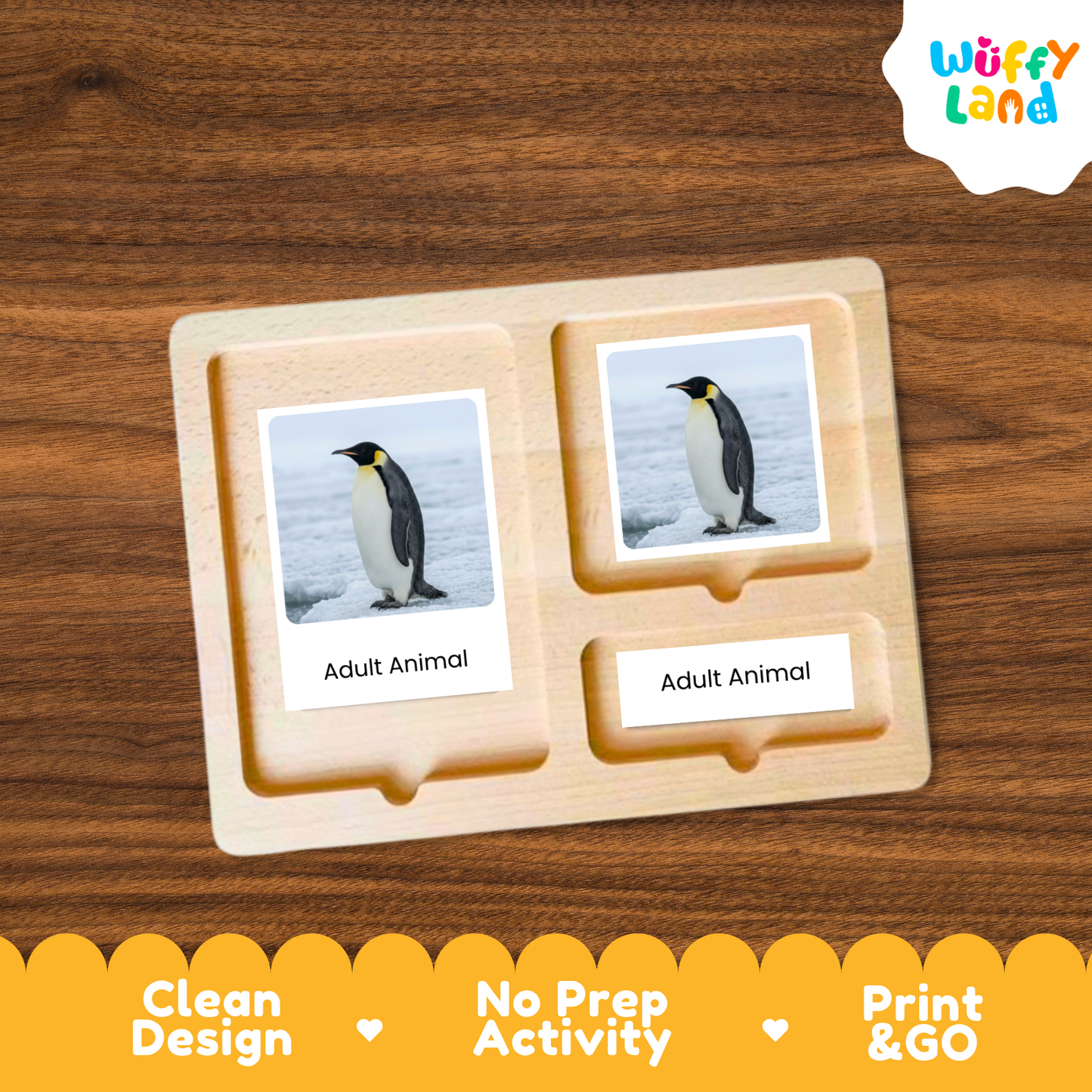 Emperor Penguin Life Cycle Flashcards | Montessori 3 Part Cards Science Activity
