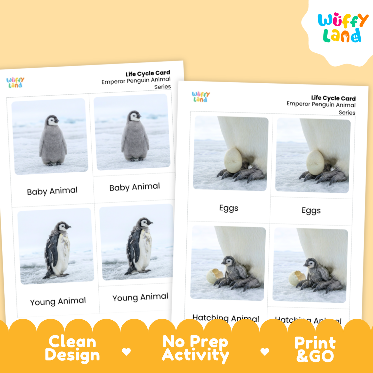 Emperor Penguin Life Cycle Flashcards | Montessori 3 Part Cards Science Activity