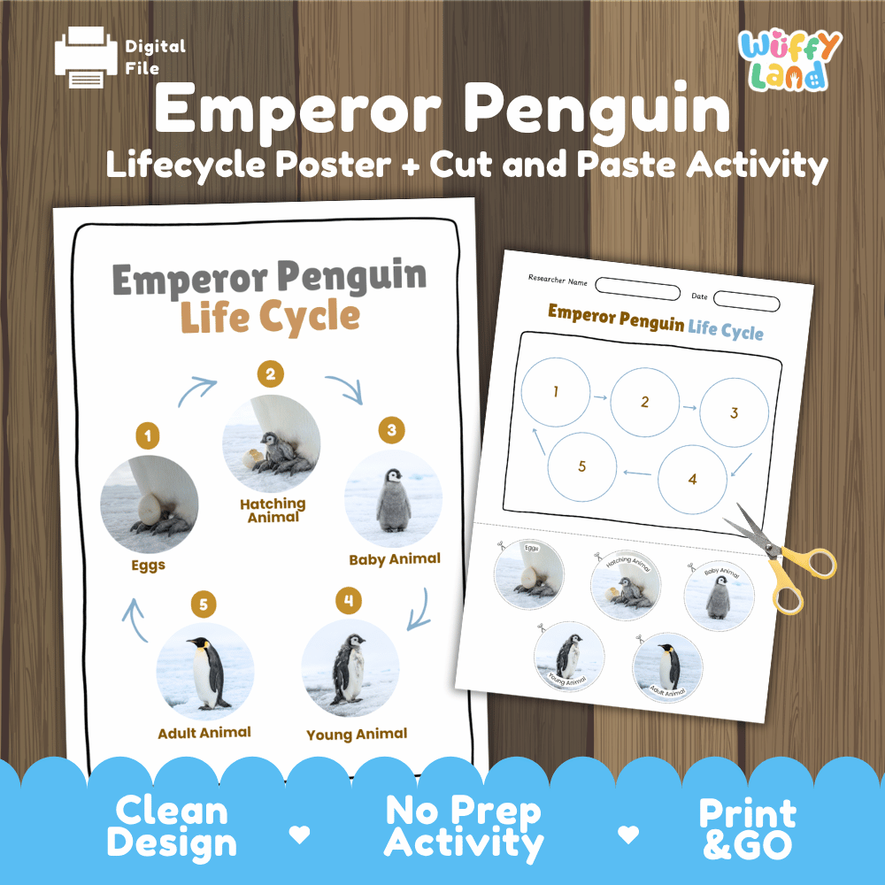 Emperor Penguin Life Cycle Poster and Cut and Paste Worksheet Activity