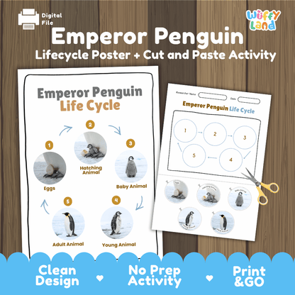 Emperor Penguin Life Cycle Poster and Cut and Paste Worksheet Activity