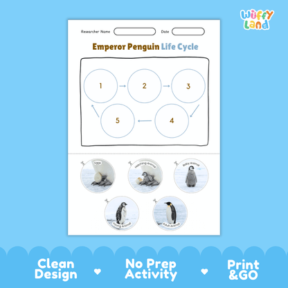 Emperor Penguin Life Cycle Poster and Cut and Paste Worksheet Activity