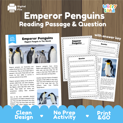 Emperor Penguins Reading Passage and Questions Worksheets with Answer Key