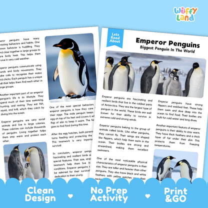 Emperor Penguins Reading Passage and Questions Worksheets with Answer Key