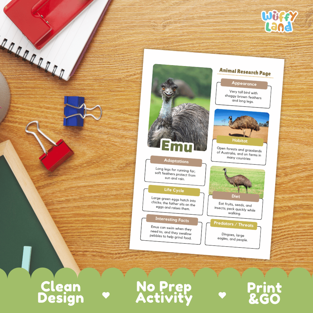 An educational printout titled 'Animal Research Page' featuring an emu, shown on a wooden desk with school supplies. The print includes sections for appearance, habitat, adaptations, life cycle, diet, and interesting facts.