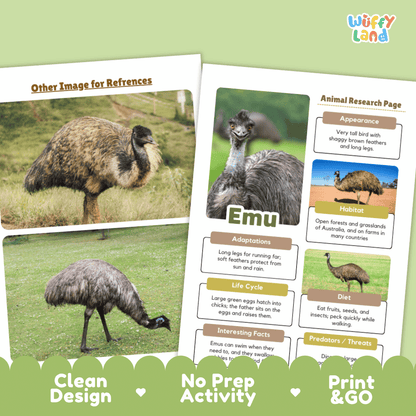Educational activity sheets for emu research, featuring animal reference images and a printed-style research page with text boxes about appearance, adaptations, life cycle, diet, and predators. The sheets are shown on a pale green background with promotional text reading 'Clean Design,' 'No Prep Activity,' and 'Print & GO.