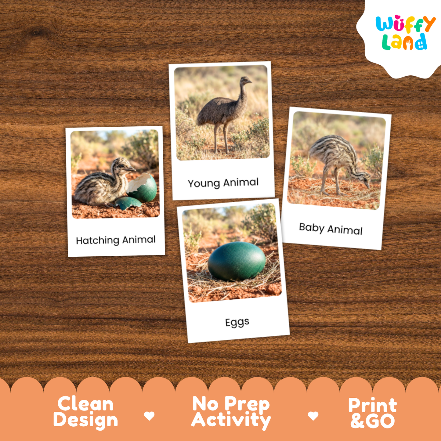 Four educational animal picture cards about eggs and baby animals arranged on a brown wood background, with the Wuffly Land logo in the top right and promotional text along the bottom.