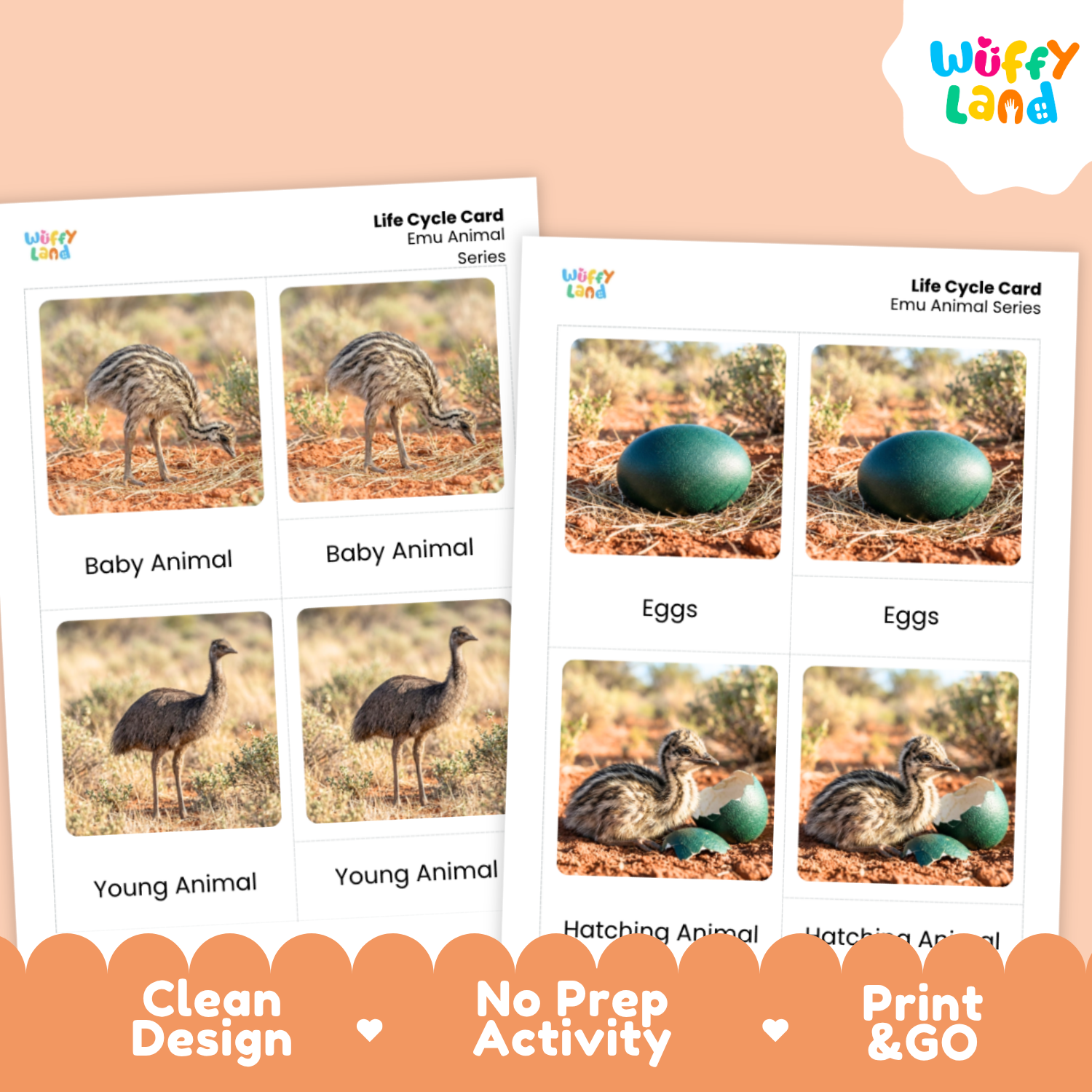 Two printed educational activity cards for emu animal life cycle tracking, shown on a peach background with a Wiffy Land logo. The cards feature labeled photos of baby, young, and hatching emus along with egg images, plus marketing text at the bottom.