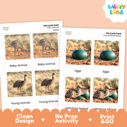 Two printed educational activity cards for emu animal life cycle tracking, shown on a peach background with a Wiffy Land logo. The cards feature labeled photos of baby, young, and hatching emus along with egg images, plus marketing text at the bottom.